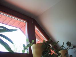 foto 28