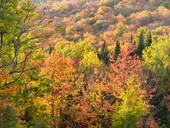 Fall colours in the Eastern Townships in Quebec, Canada &copy; mbruxelle - Fotolia.com