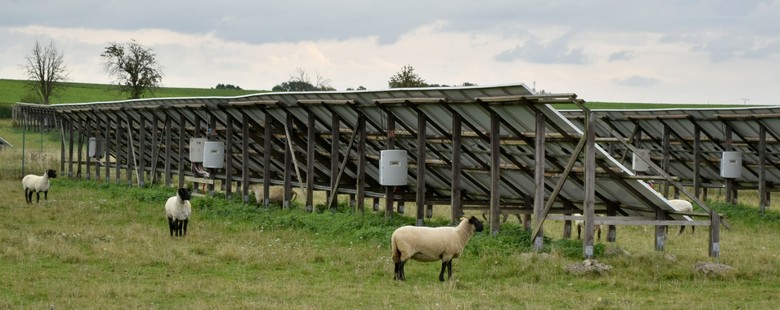 Devn konstrukce vlastn vroby na elektrrn v Mytvsi. „Sekn trvy“ pod fotovoltaikou obstarv stdo ovc.