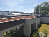 Zmna vyhlky zvhodn budovy se zelenmi stechami,  foto redakce