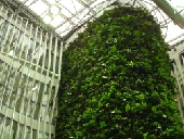 Knauf - desky Aquapanel Outdoor se 100% odolnosti vlhkosti pro zelenou ivou stnu
