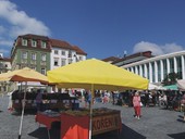 Zeln trh, Brno