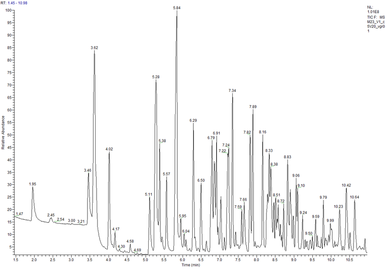 Obr. 1 Chromatogram SWS [17]