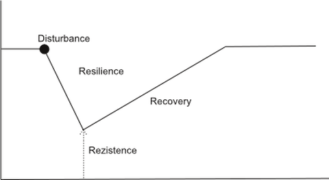Obr. 4 Schmatick vyjden resilience (odolnosti)