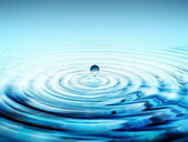 © Fotolia.com © Fotolia.com