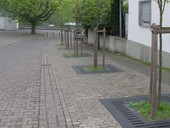 Podzemn ochrann boxy MEA ECO TreeBox vytv vodn zsobrnu, umouj okyslien zeminy a zabrauj jejmu zhutovn od tlak z vozovky. Lze instalovat i k ji stvajc vsadb zelen. Foto MEA Water Management s.r.o.