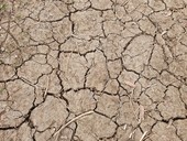 Dotace na nov zdroje pitn vody budou pokraovat, sucho, ilustran foto redakce