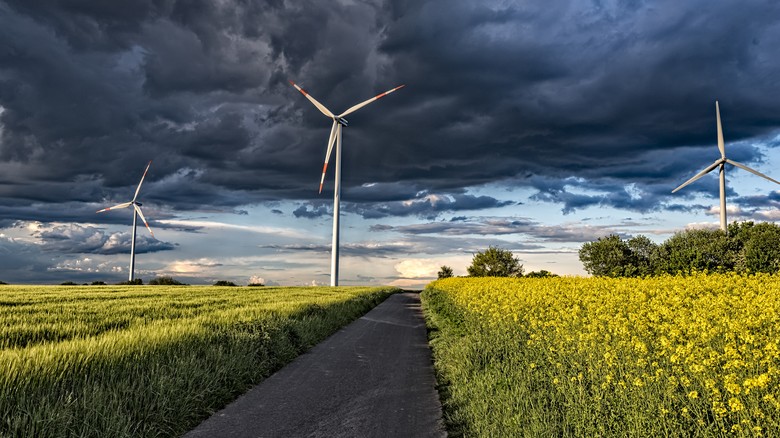 Energie bez DPH a poplatku za obnoviteln zdroje, foto redakce