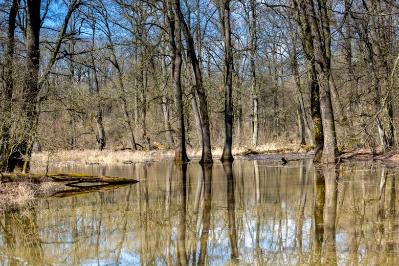 Fenomn lun krajiny (Foto: Povod Moravy, s. p.)