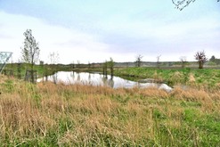 Lun krajina obory Obelisk (Foto: Ing. arch Petr Brandejsk)