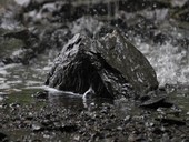 Vplyv dažďa na prírodný kameň ako stavebný materiál