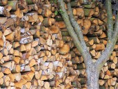 Stanovení výhřevnosti palivového dřeva z naměřené vlhkosti
