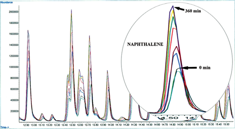 Obr. 4 Chromatogramy najmenej prchavch zlenn benznu s R od 13 do 16 mint