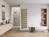 Nov� koupelnov� radi�tor Zehnder Roda Duo zaujme sv�m klasick�m nad�asov�m designem: kulat� svisl� sb�rn� trubky a vodorovn� p�esn� ploch� trubky v asymetrick�m uspo��d�n� umo��uj� pohodln� bo�n� zasunut� a p�edeh��t� ru�n�k� a osu�ek.