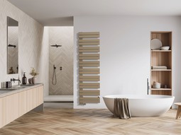 Nov� koupelnov� radi�tor Zehnder Roda Duo zaujme sv�m klasick�m nad�asov�m designem: kulat� svisl� sb�rn� trubky a vodorovn� p�esn� ploch� trubky v asymetrick�m uspo��d�n� umo��uj� pohodln� bo�n� zasunut� a p�edeh��t� ru�n�k� a osu�ek.