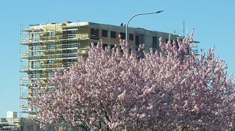 Ceny plánuje zvýšit naprostá většina developerů