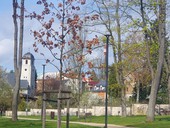 Dokument ČKA ke komunálním volbám, Česká Kamenice, ilustrační obrázek, foto D. Kopačková, redakce