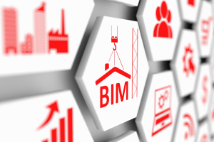 BIM