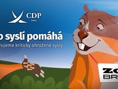 Jarn kampa spolenosti CDP IVORY, Kdo sysl, pomh