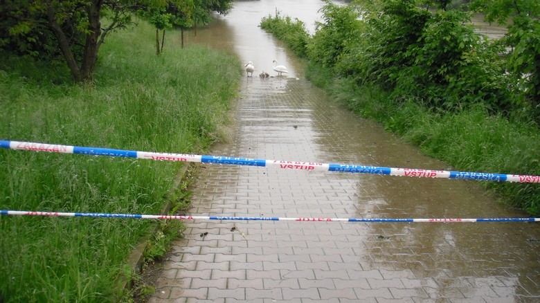 ijeme v zplavovm zem, ilustran foto redakce