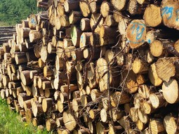 Online školení Topenář - montér kotlů na biomasu, foto redakce