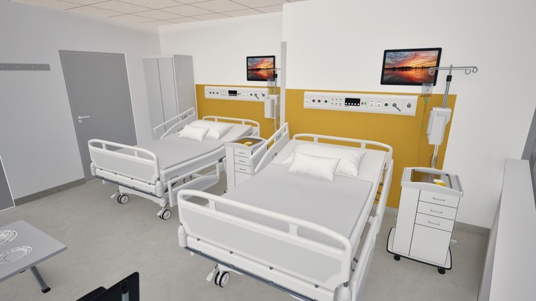 Zdroj vizualizace: DELTA Group CZ, FN Brno Zdroj vizualizace: DELTA Group CZ, FN Brno