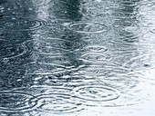 Déšť &copy; Mr Twister - Fotolia.com