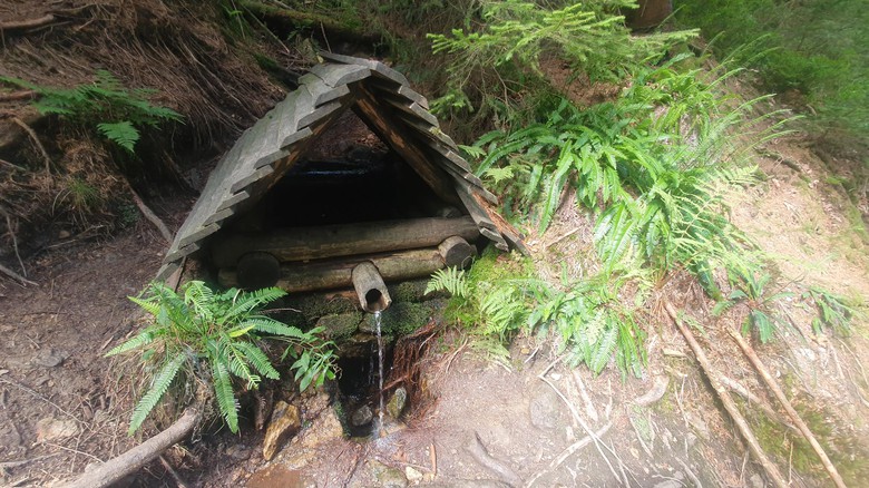 Šumava, studánka, ilustrační foto D.Kopačková, redakce